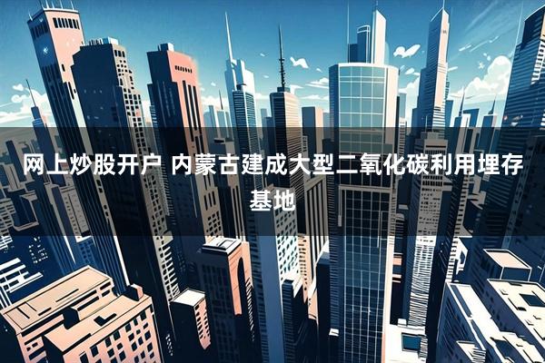 网上炒股开户 内蒙古建成大型二氧化碳利用埋存基地
