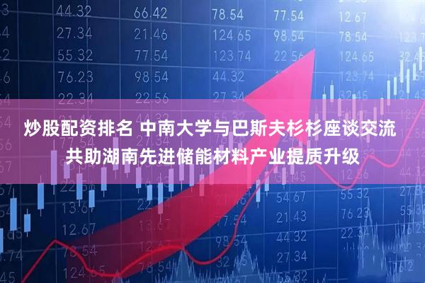 炒股配资排名 中南大学与巴斯夫杉杉座谈交流 共助湖南先进储能材料产业提质升级
